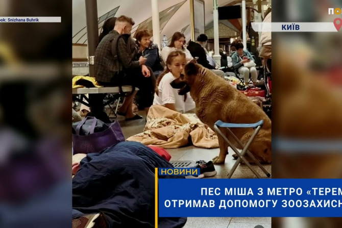 Погляд — новини Київщини онлайн - 9fe91c24-160f-4e82-827d-840c2b5a374b - зображення